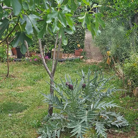 Amalia - Two Bedroom With Terrace Zadar