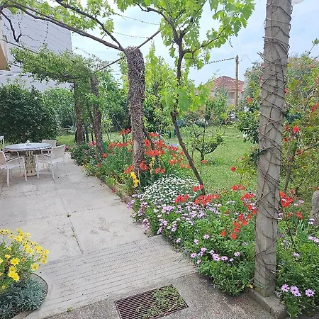 Amalia - Two Bedroom With Terrace Zadar