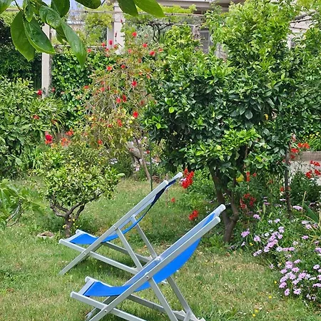 Apartament Amalia - Two Bedroom With Terrace Zadar