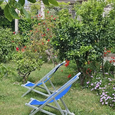 Apartament Amalia - Two Bedroom With Terrace Zadar